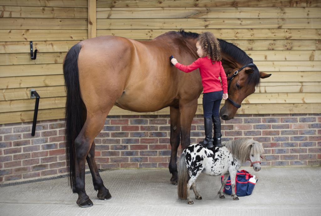 Fun equine family portraits horse portraits