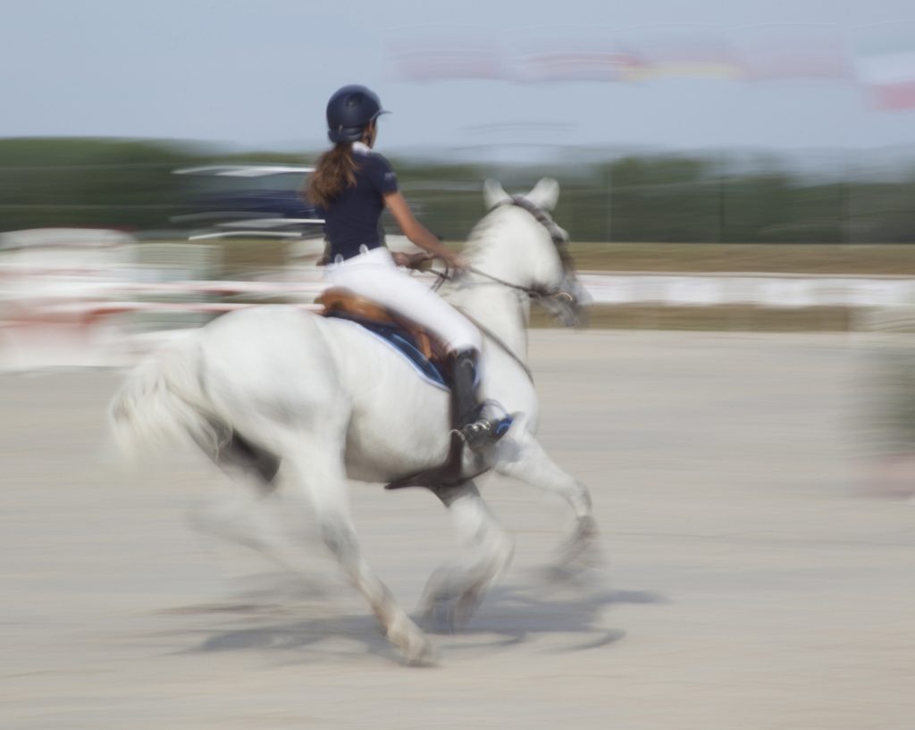 Sports Photography action motion blur show jumping photo