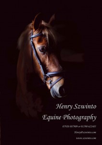 Equine Brochure Front Cover