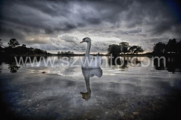 _v7a7844a-hdr-4