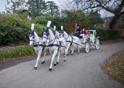 White Horses and carriage Wedding Photography Pictures